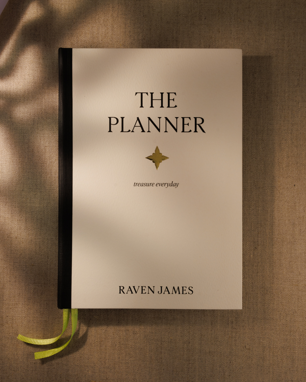 The PLANNER