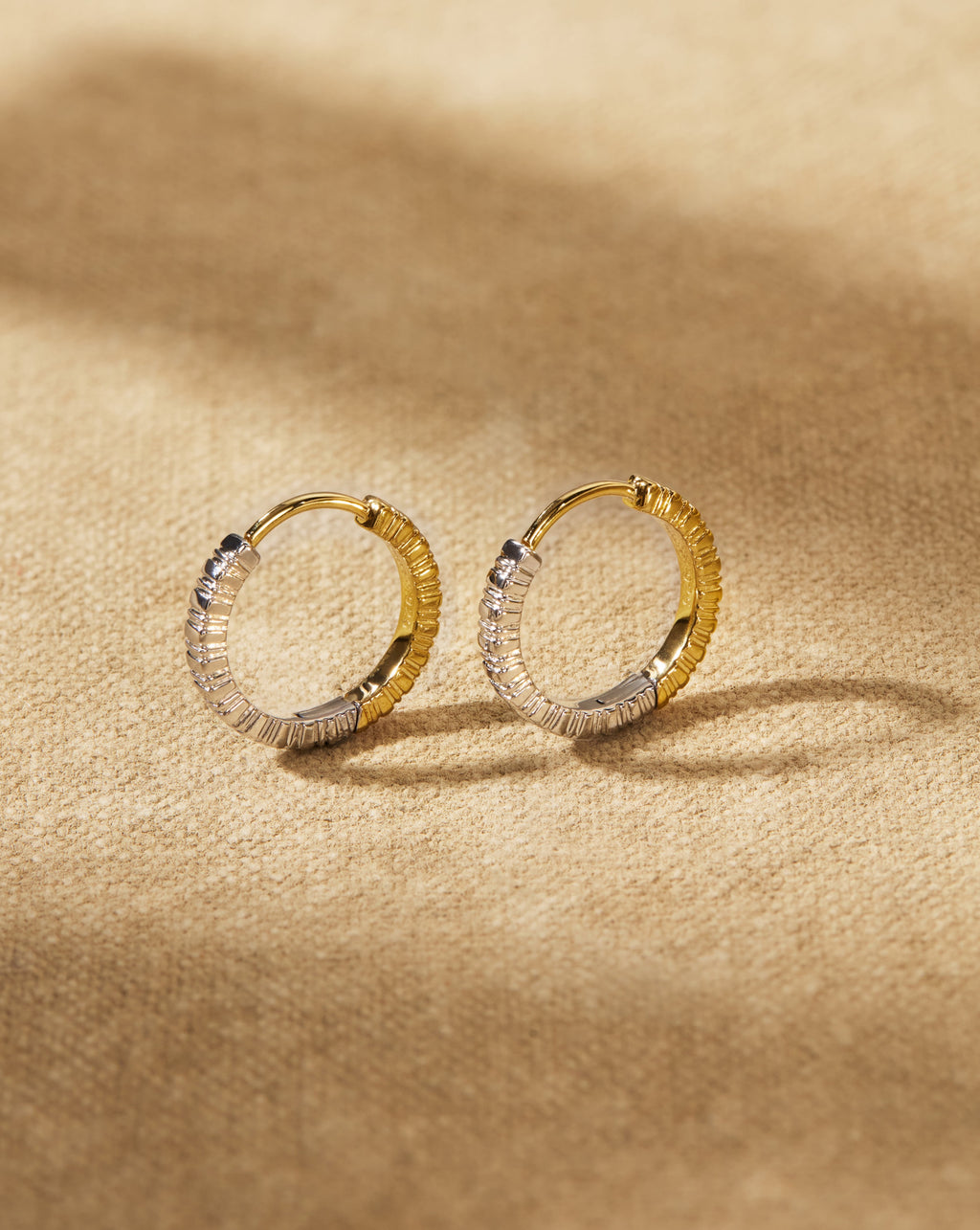 Large COIN Reversible Hoops
