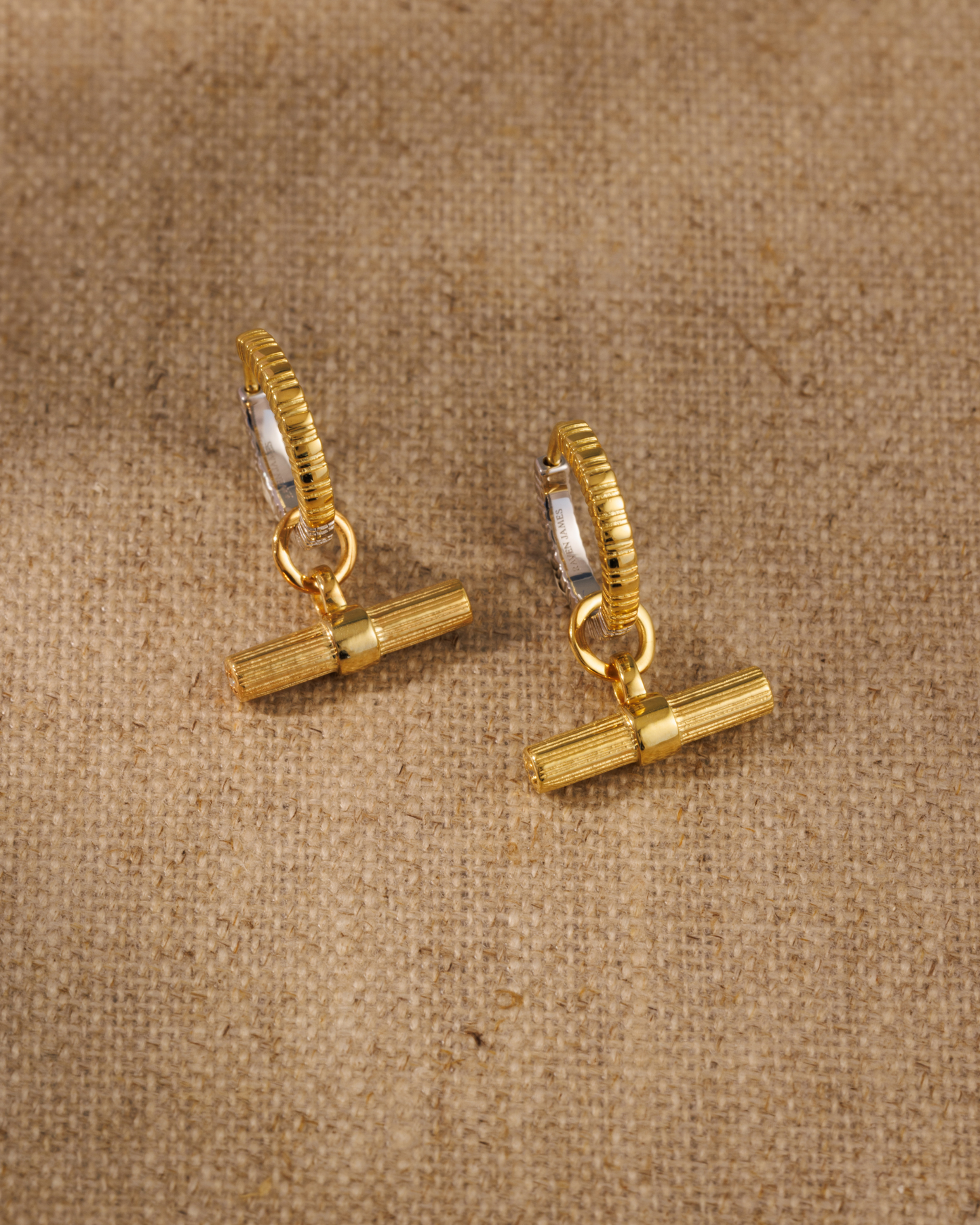 Lexi T-bar earring charms paired with Coin reversible gold vermeil and silver hoop earrings 