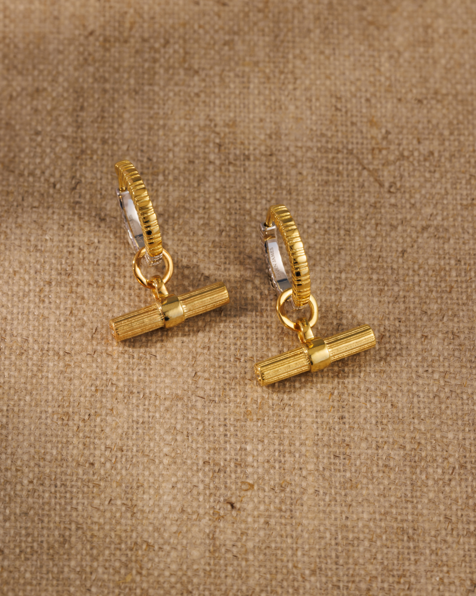 Lexi T-bar earring charms paired with Coin reversible gold vermeil and silver hoop earrings 