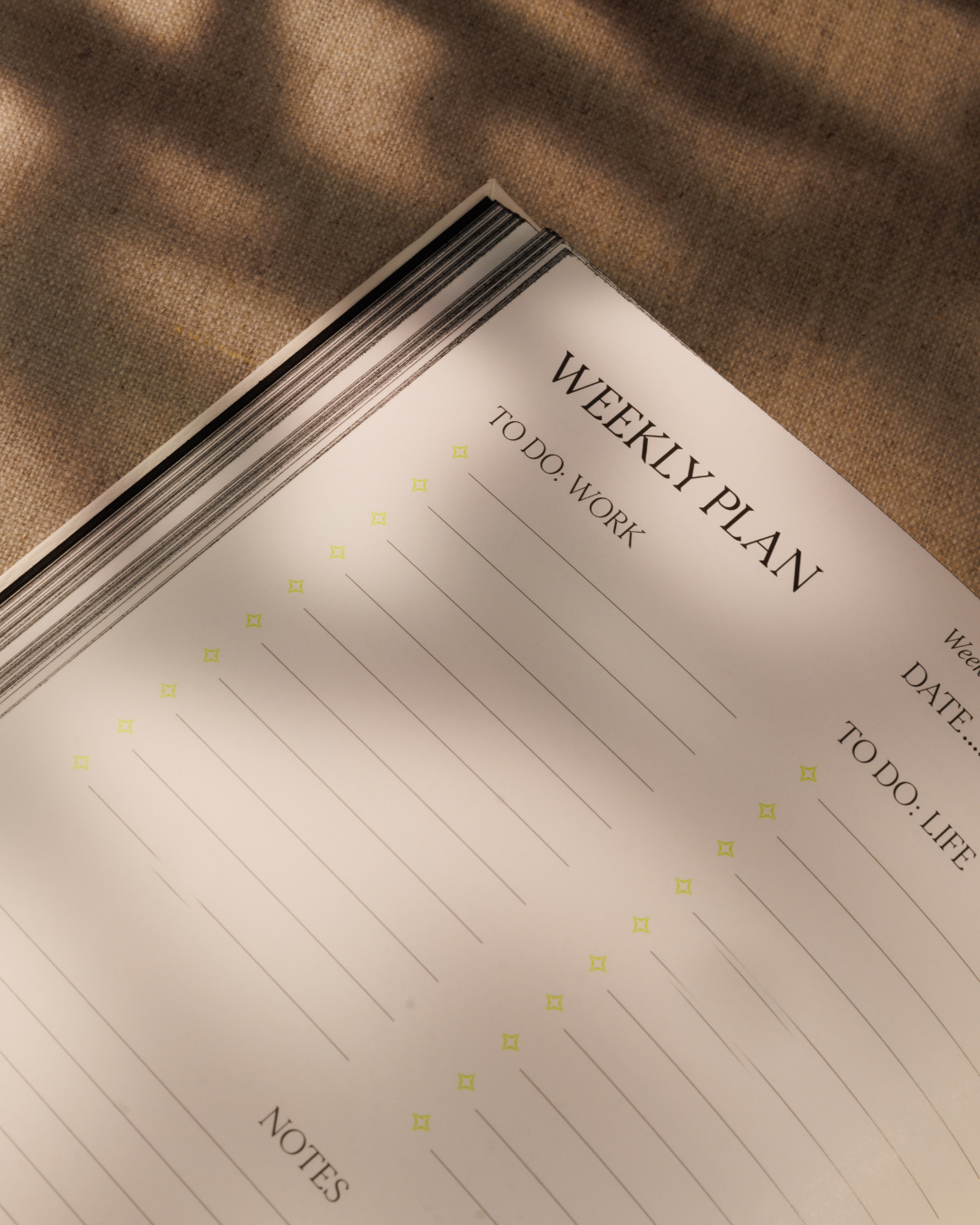 Raven James planner with weekly overview, daily planning and meeting notes pages