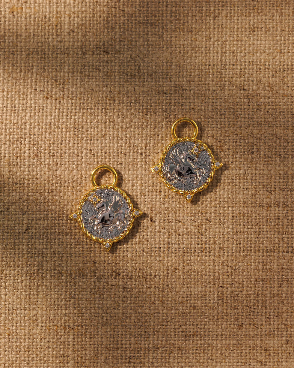 PEGASUS / COIN Earring Set