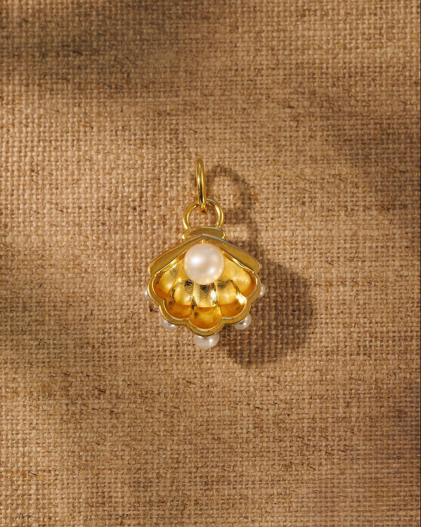 SHELL_BACK_OPEN