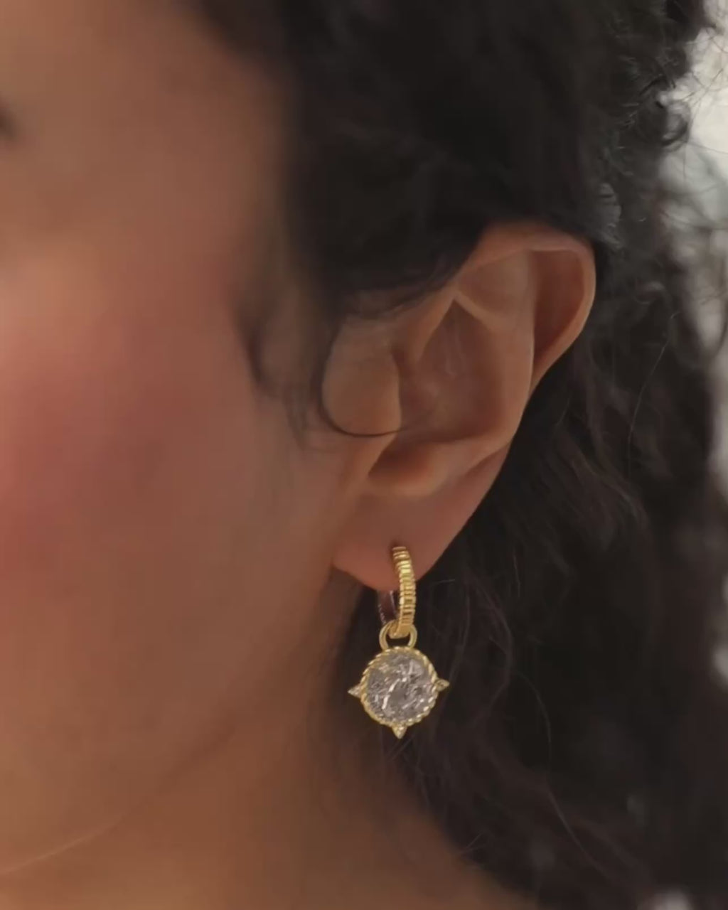 PEGASUS Reversible Earring Charms