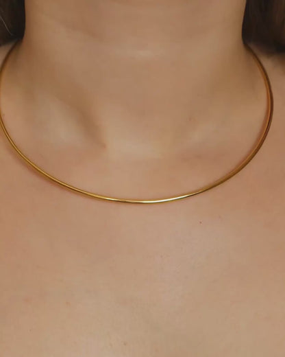 COLETTE Torque Necklace