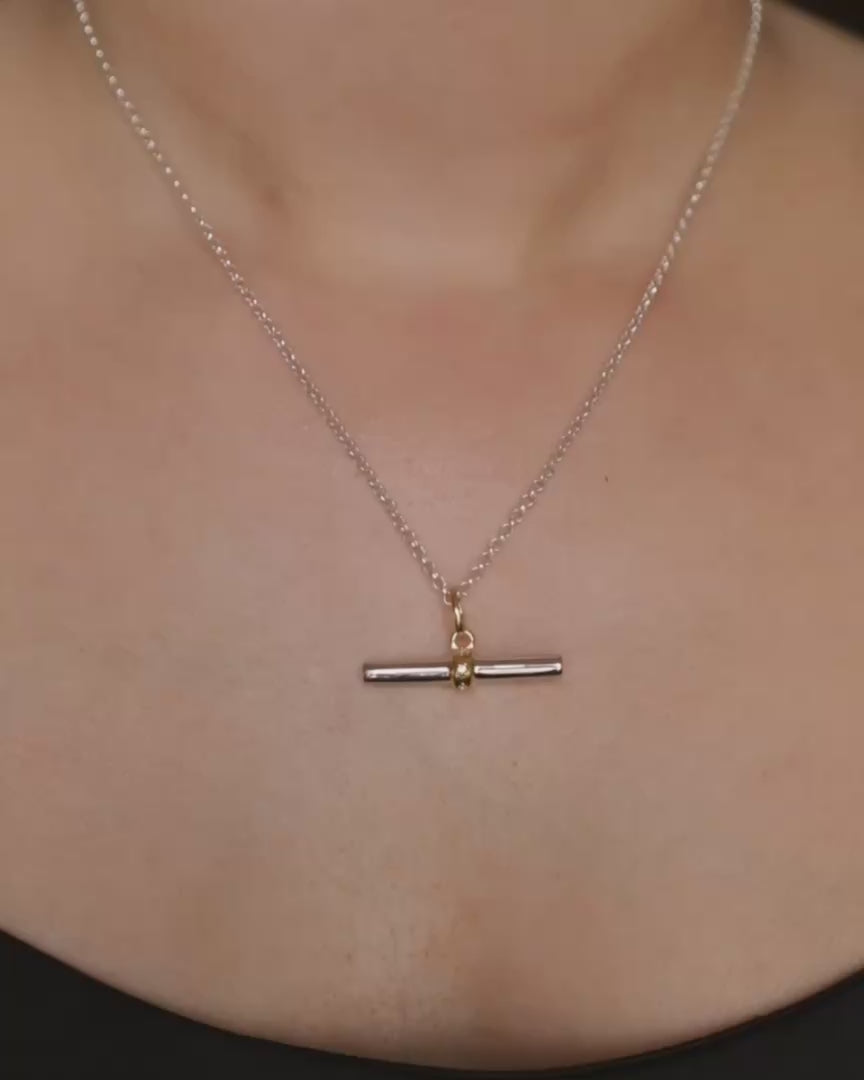 LUCY / IVY Mixed-Metal Set (Silver Chain)