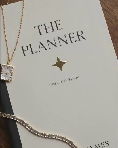 The PLANNER