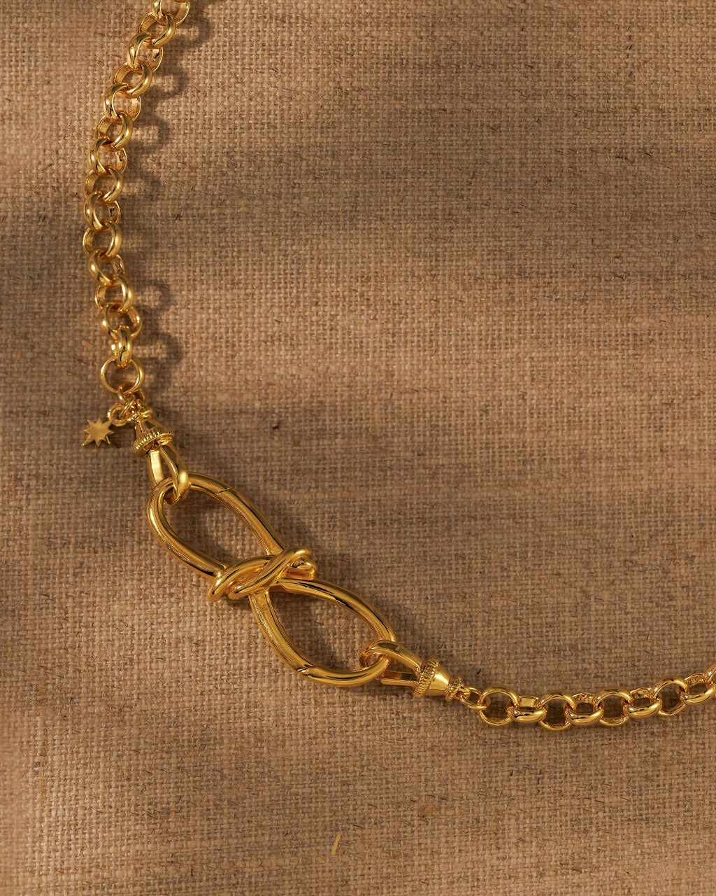 TRIXIE gold bow extender on the COCO round link chain